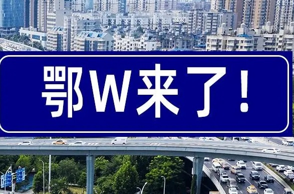 鄂w是湖北哪个城市