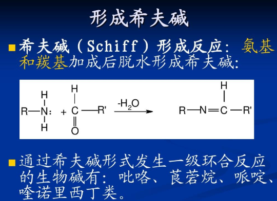 席众威道选分小纸则夫碱反应是什么？