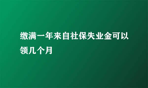 缴满一年来自社保失业金可以领几个月