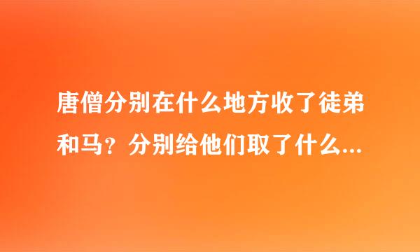 唐僧分别在什么地方收了徒弟和马？分别给他们取了什么名？观音所赐的名份分别是什么？