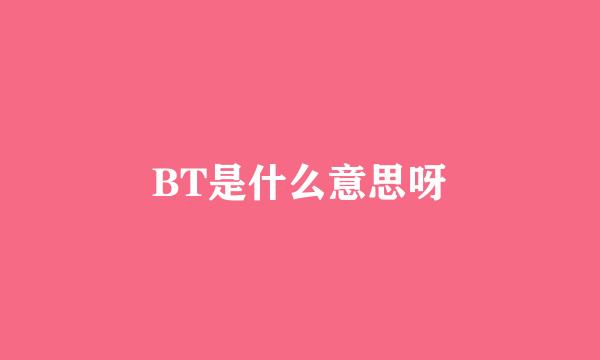 BT是什么意思呀