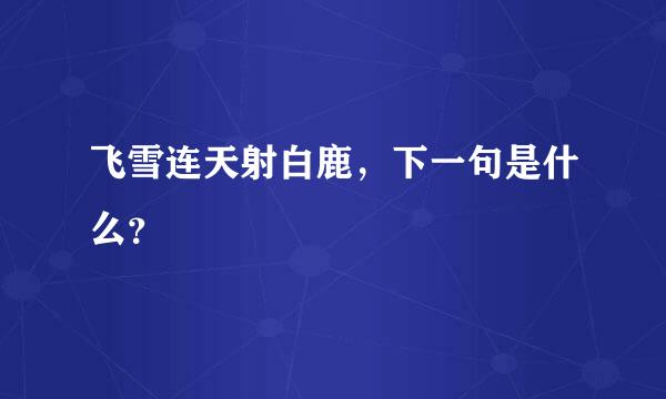 飞雪连天射白鹿，下一句是什么？