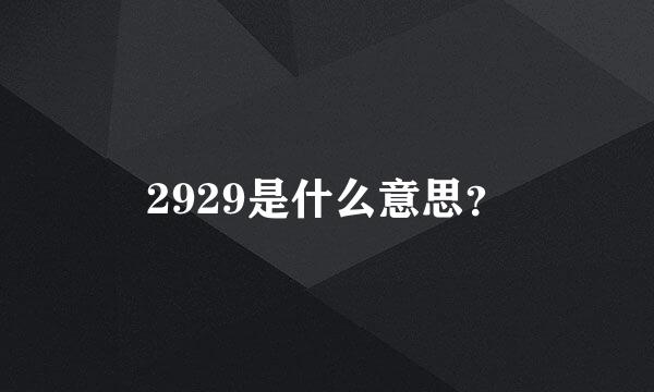 2929是什么意思？