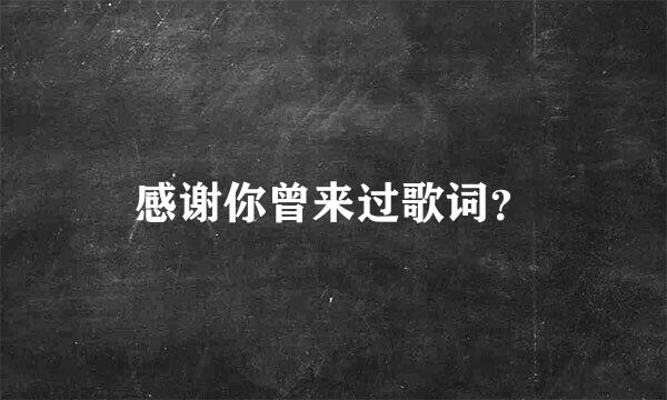 感谢你曾来过歌词？