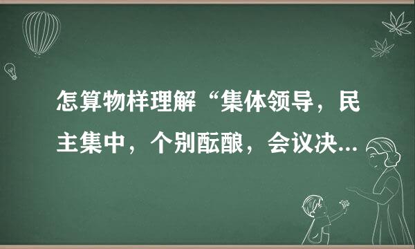 怎算物样理解“集体领导，民主集中，个别酝酿，会议决定”的原则