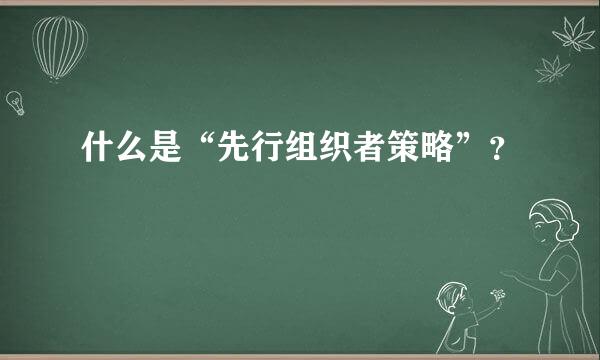 什么是“先行组织者策略”？