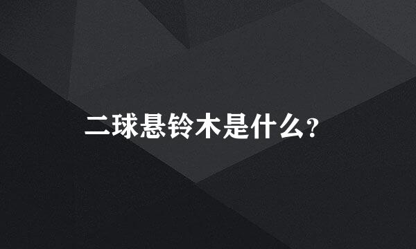 二球悬铃木是什么？