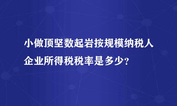 小做顶坚数起岩按规模纳税人企业所得税税率是多少？