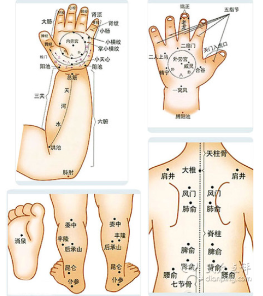 按摩穴位学习入门的介绍