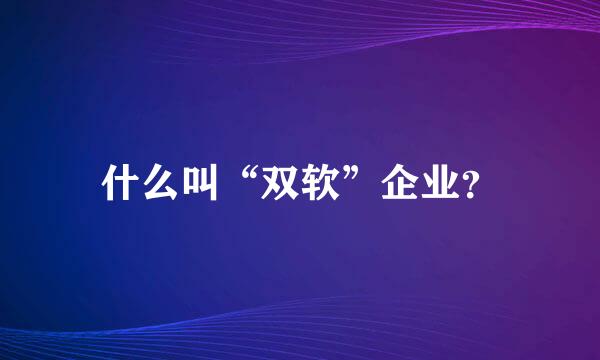 什么叫“双软”企业？