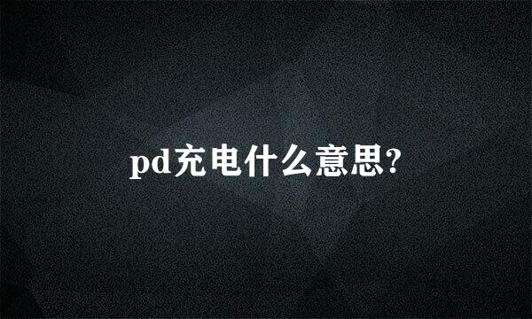 pd充电什么意思?