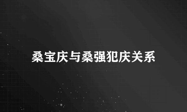 桑宝庆与桑强犯庆关系