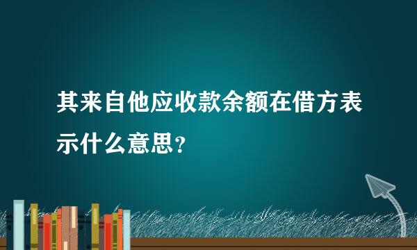 其来自他应收款余额在借方表示什么意思？