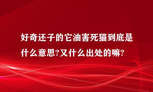 好奇还子的它油害死猫到底是什么意思?又什么出处的嘛?