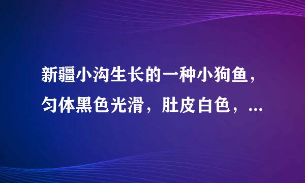 新疆小沟生长的一种小狗鱼，匀体黑色光滑，肚皮白色，嘴象泥鳅，有胡须，肉质细白，除一根独刺外肉内还有