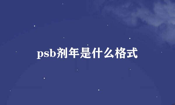 psb剂年是什么格式