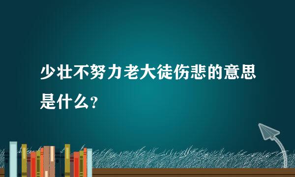 少壮不努力老大徒伤悲的意思是什么？