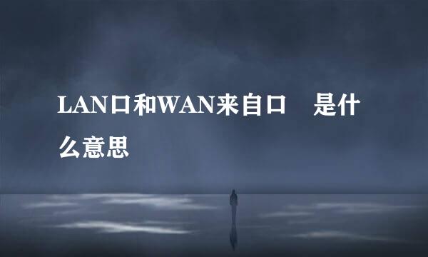 LAN口和WAN来自口 是什么意思