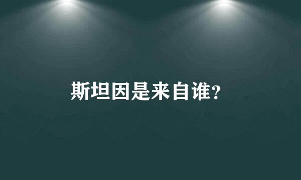 斯坦因是来自谁？