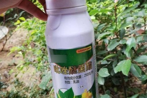 吡唑醚菌酯的作用和用途是什距庆县兴么？