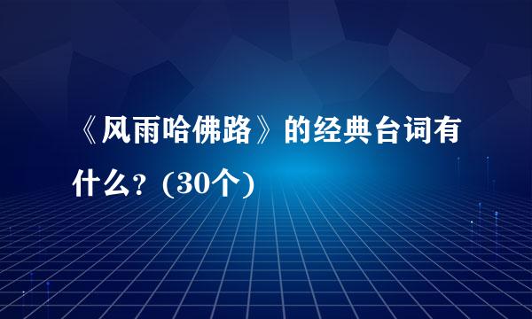 《风雨哈佛路》的经典台词有什么？(30个)