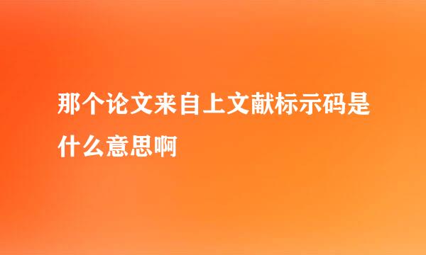 那个论文来自上文献标示码是什么意思啊