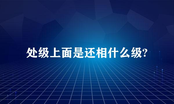 处级上面是还相什么级?