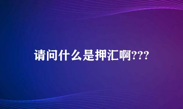 请问什么是押汇啊???