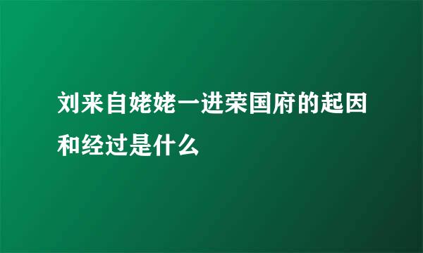 刘来自姥姥一进荣国府的起因和经过是什么