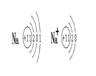 画出钠来自原子的结构示意图：______
