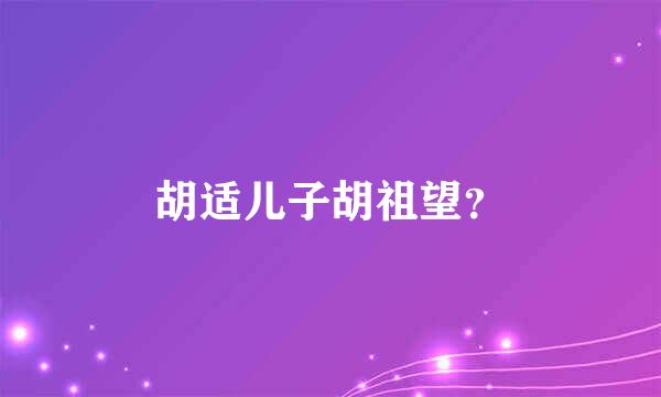 胡适儿子胡祖望？