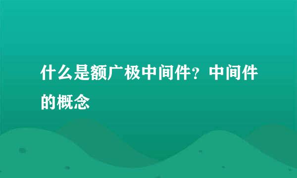 什么是额广极中间件？中间件的概念