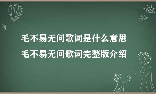 毛不易无问歌词是什么意思 毛不易无问歌词完整版介绍