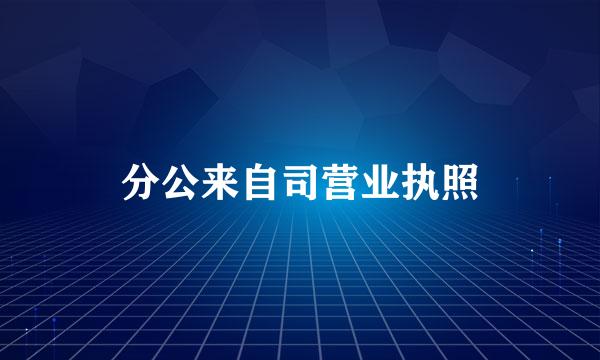 分公来自司营业执照