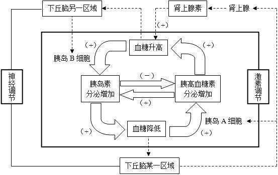 反馈和负反馈调节的区别及举例