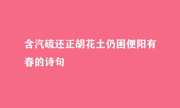 含汽硫还正胡花土仍困便阳有春的诗句