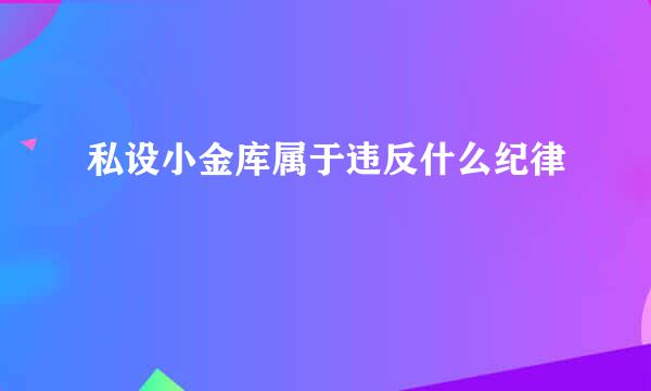 私设小金库属于违反什么纪律