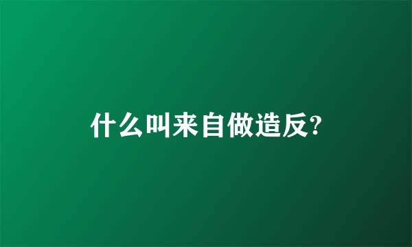 什么叫来自做造反?