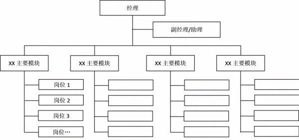 公司的来自管理组织架构是什么样的？