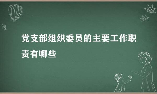 党支部组织委员的主要工作职责有哪些