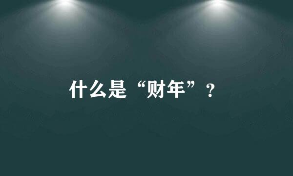 什么是“财年”？