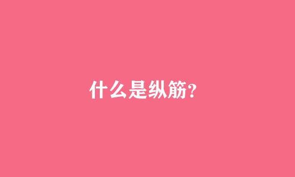 什么是纵筋？