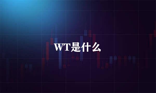 WT是什么