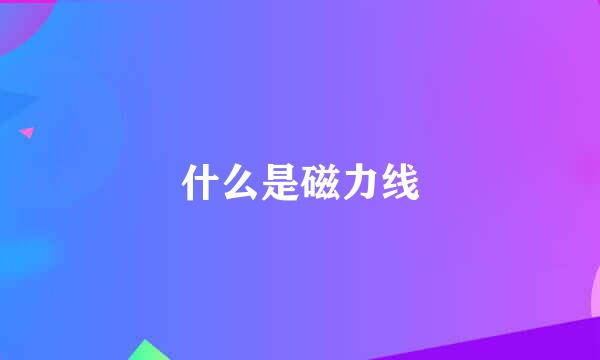 什么是磁力线