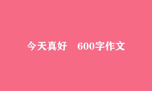 今天真好 600字作文