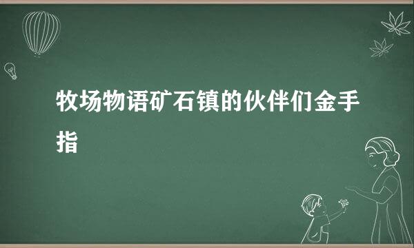 牧场物语矿石镇的伙伴们金手指