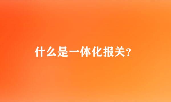 什么是一体化报关？