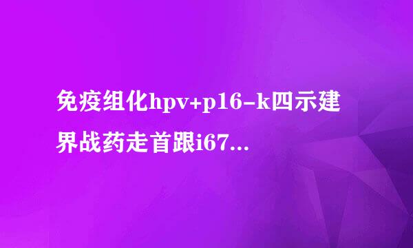 免疫组化hpv+p16-k四示建界战药走首跟i67+50%是什么意思