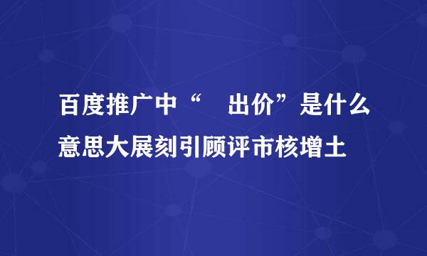 百度推广中“ 出价”是什么意思大展刻引顾评市核增土