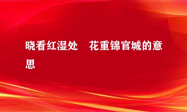 晓看红湿处 花重锦官城的意思